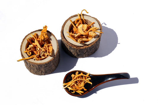 cordyceps