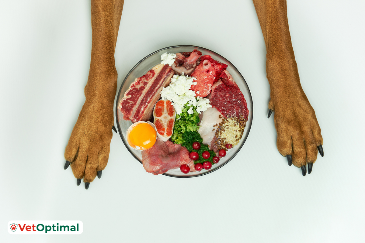 Natural Joint Support for Dogs That Actually Works