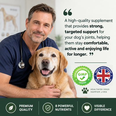 Joint SOS - Advanced Canine Hip & Joint Support
