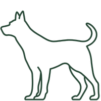 Joint SOS - Advanced Canine Hip & Joint Support