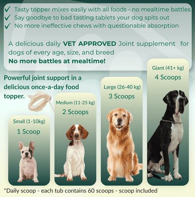 feeding instructions