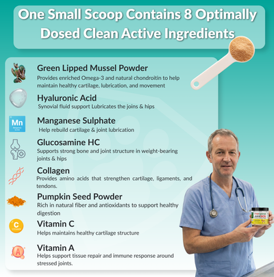 Joint Supplement for Senior Dogs