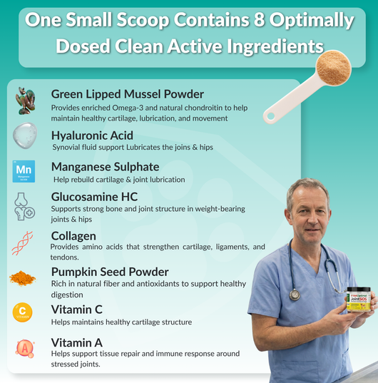 Joint Supplement for Senior Dogs