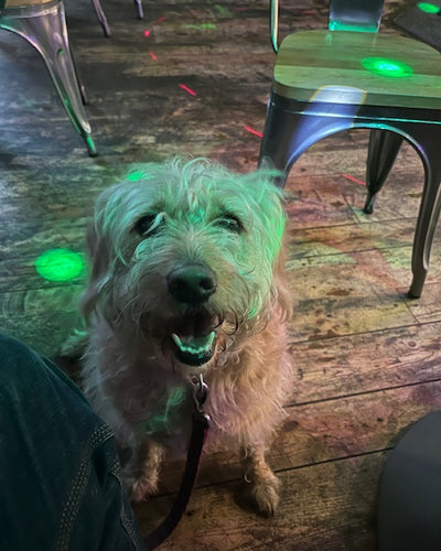 Customer testimonial video