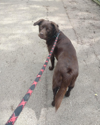 Customer testimonial video