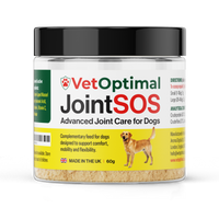 Joint Supplement for Senior Dogs