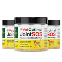 Joint Supplement for Senior Dogs