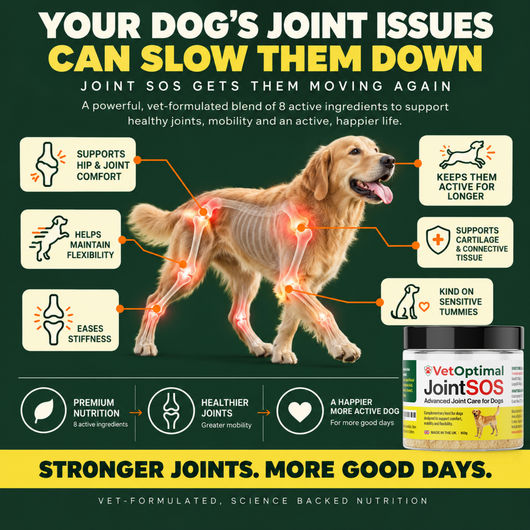 Joint SOS - Advanced Canine Hip & Joint Support