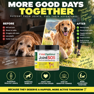 Joint SOS - Advanced Canine Hip & Joint Support
