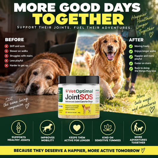 Joint SOS - Advanced Canine Hip & Joint Support