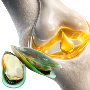 Ease Stiffness & Support Comfort