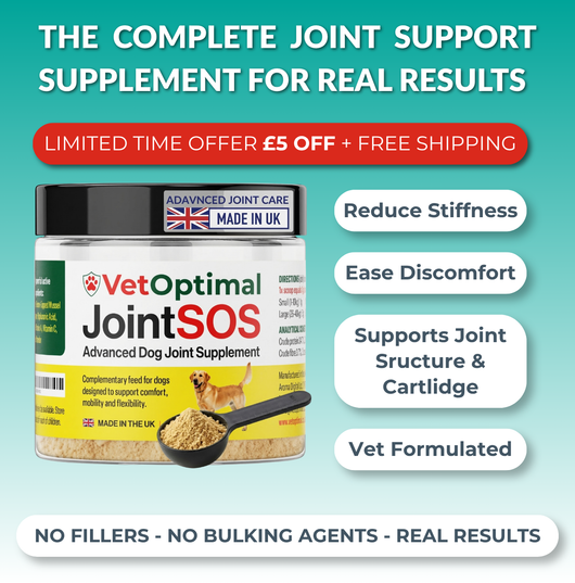 Joint SOS