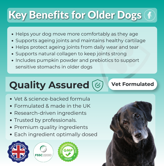 Joint Supplement for Senior Dogs