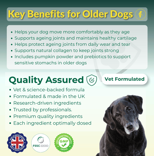 Joint Supplement for Senior Dogs