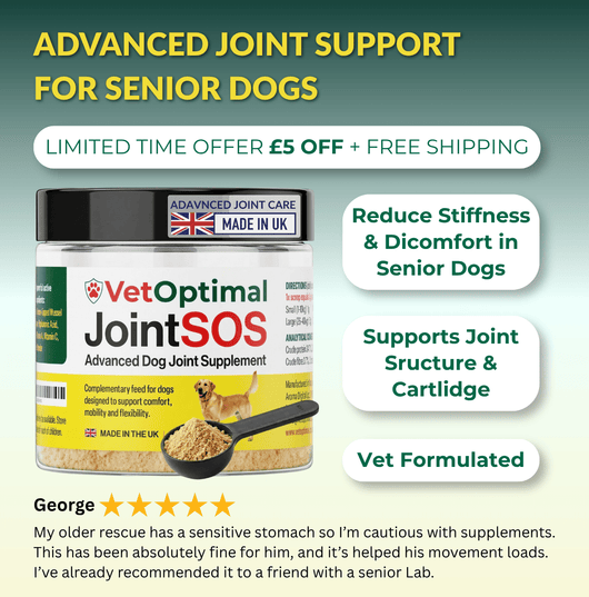 joint supplement for senior dogs