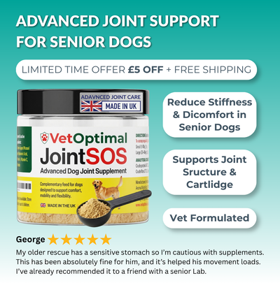 Joint Supplement for Senior Dogs